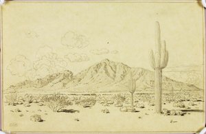 Cím nélkül (átviteli rajz a phoenixi Camelback Mountainhoz) alkotó: George Elbert Burr
