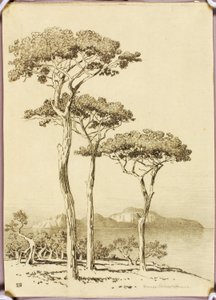 Cím nélkül (átvitt rajz: Capri, Sorrentóból)