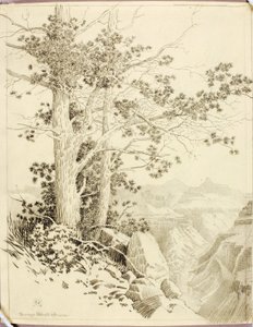 Cím nélkül (átviteli rajz nyomtatáshoz) alkotó: George Elbert Burr