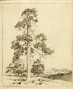 Cím nélkül (átviteli rajz nyomathoz) alkotó: George Elbert Burr