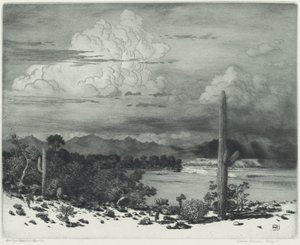 Verde folyó, Arizona alkotó: George Elbert Burr