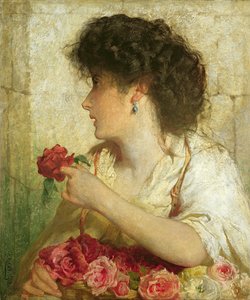 Nyári rózsa, 1910