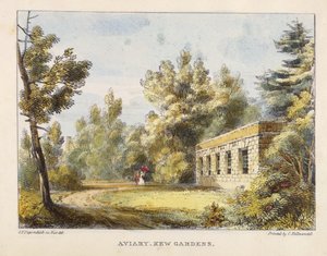 Aviary, Kew Gardens, 10. tábla a Kew Gardensből: Huszonnégy kőrajz sorozata, vésette Charles Hullmandel (1789-1850), megjelent 1820-ban (kézzel színezett litó)