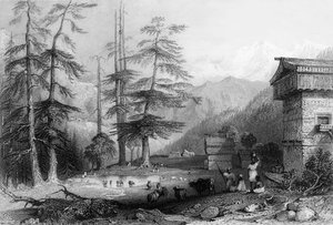 "Koghera és Deodar-erdő faluja, a Choor közelében", 1838.