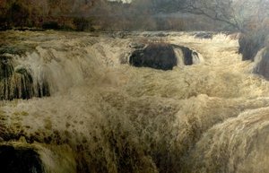 Salmon Leap, Cenarth Falls, Cardiganshire, Wales, 1878 alkotó: George Frank Miles