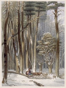 Tél, akadályozott utazók egy fenyőerdőben, a Harveys Scenes of the Primitive Forest of America, 1841-ből (kézzel színezett akvatinta)