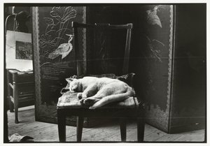 Macska egy széken Breitner amszterdami stúdiójában alkotó: George Hendrik Breitner