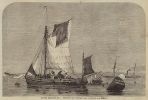 British Fisheries, No 7, Whelks ügető alkotó: George Henry Andrews