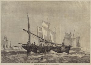 Makréla-csónakok indulnak