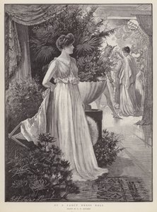 Díszruhabálon (litho)