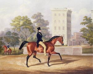 Anglesea márki lóháton a Hyde Parkban, 80. évében, metszett J. Harris, 1847 (színes metszet)