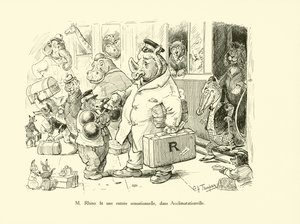 Mr Rhino szenzációs belépőt tett Acclimatationville-ben (litho) alkotó: George Henry Thompson