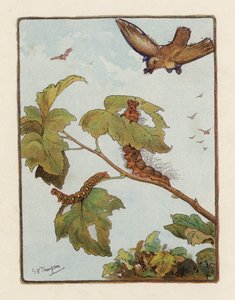 A hernyó (színes litográfia)