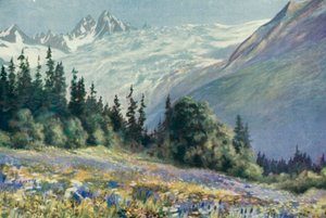 Campanula és más júliusi virágok a Col Des Montets-on (színes litó)