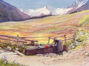 Június eleji mezők a Val Ferret-völgyi Praz de Fort mögött, a Groupe du Grand Saint-Bernard et du Grand Golliaz támogatásával (színes lithó) alkotó: George Jackson Flemwell