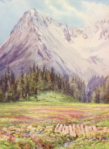 Gentiana verna és Primula farinosa Champex alsó mezőin május vége felé, háttérben a Saleinaz hegység egy részével (színes litográfia). alkotó: George Jackson Flemwell