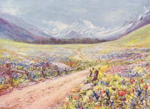 Júniusi Salvia, Lychnis stb. rétek a Val Ferret völgyben, közvetlenül Praz de Fort falu előtt (színes litho) alkotó: George Jackson Flemwell