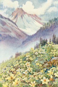 Kénkökörcsin a Le Planet lejtőin (színes litho) alkotó: George Jackson Flemwell