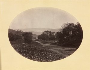 Egy út Williamstownban