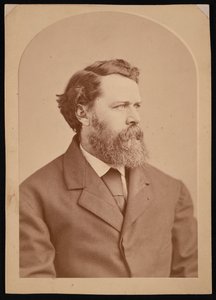 Oliver Wolcott Gibbs portréja 1822-1908, 1870-1873 között.