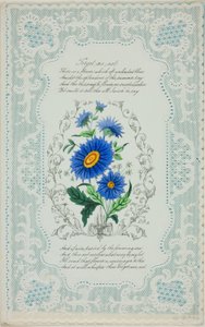 Forget Me Not (Valentin) alkotó: George Kershaw