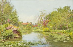 A liliomos tó (akvarell)
