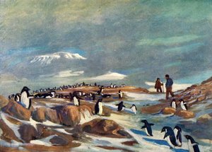 A pingvinek visszatérése, 1908, 1909.