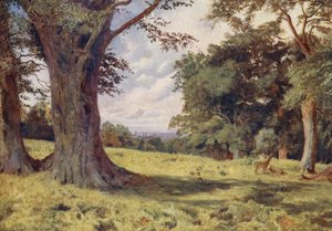 A Glade in Windsor Great Park (színes litográfia)