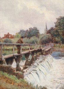 The Old Weir (színes litográfia)