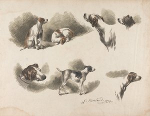 Állatok - Egy vadászkutya hét tanulmánya egy lapon. „Jno. Harris” a vadászkutya nyakörvén bal alsó részen alkotó: George Morland