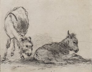 Szamárcsikók (szén papíron) alkotó: George Morland