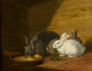 Nyulak alkotó: George Morland