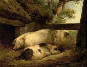 Sertéstanulmány alkotó: George Morland