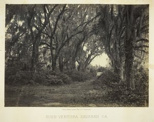 Buen-Ventura Savannah, Ga., 1866.