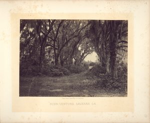 Buen-Ventura, Savannah, Georgia alkotó: George N. Barnard