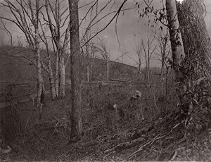 Bull Run, Virginia, 1861-62.