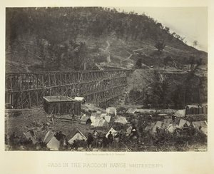Hágó a Raccoon Range területén, Whiteside 1. szám, 1864. alkotó: George N. Barnard