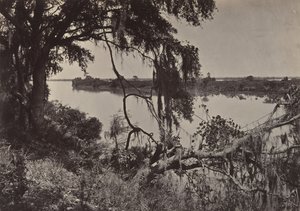 Savannah River, Savannah közelében, Georgia, 1860-as évek. alkotó: George N. Barnard