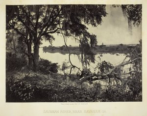 Savannah folyó, Savannah, GA közelében alkotó: George N. Barnard