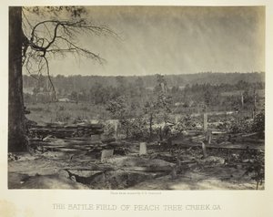 A Peach Tree Creek-i csatatér, Ga. alkotó: George N. Barnard