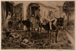 Fiú és szamarak (Donkey Boy)