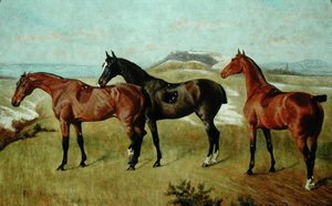 Három ló: whissendine, fecske és tiptop alkotó: George Paice