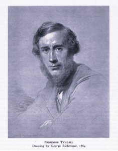 Tyndall professzor, a Collins által kiadott British Adventure-től, 1947 alkotó: George Richmond