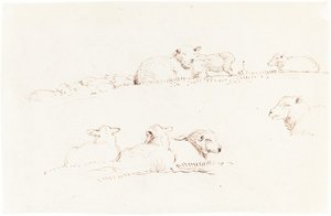 Tanulmányok a juhokról a legelőn alkotó: George Richmond