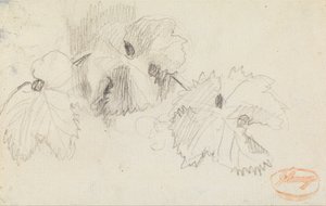 Levelek 1 alkotó: George Romney