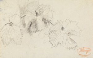 A levelek vizsgálata 1 alkotó: George Romney