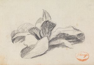 A levelek tanulmányozása 2 alkotó: George Romney