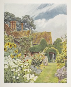 Cleeve Prior, Sunflowers, illusztráció a „Some English Gardens”-ben, George S. Jekzel Elgood és Gertrude Jekyll alkotó: George Samuel Elgood