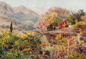 Orange Grove, Mentone (színes litográfia)