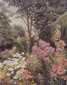 Phlox és Daisy alkotó: George Samuel Elgood